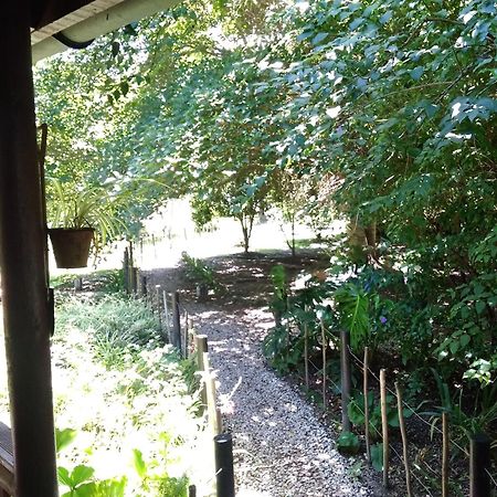 Andelomi Nature'S Rest Stormsrivier Bagian luar foto