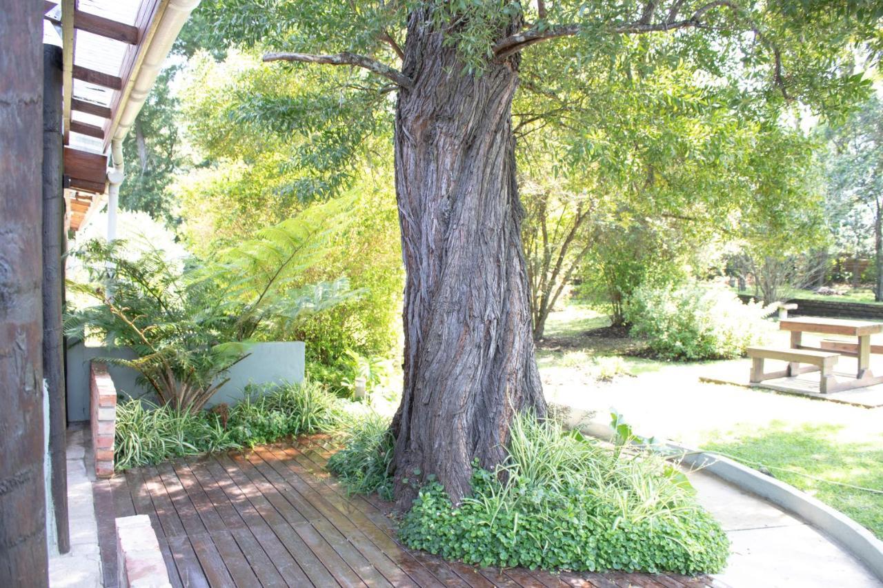 Andelomi Nature'S Rest Stormsrivier Bagian luar foto