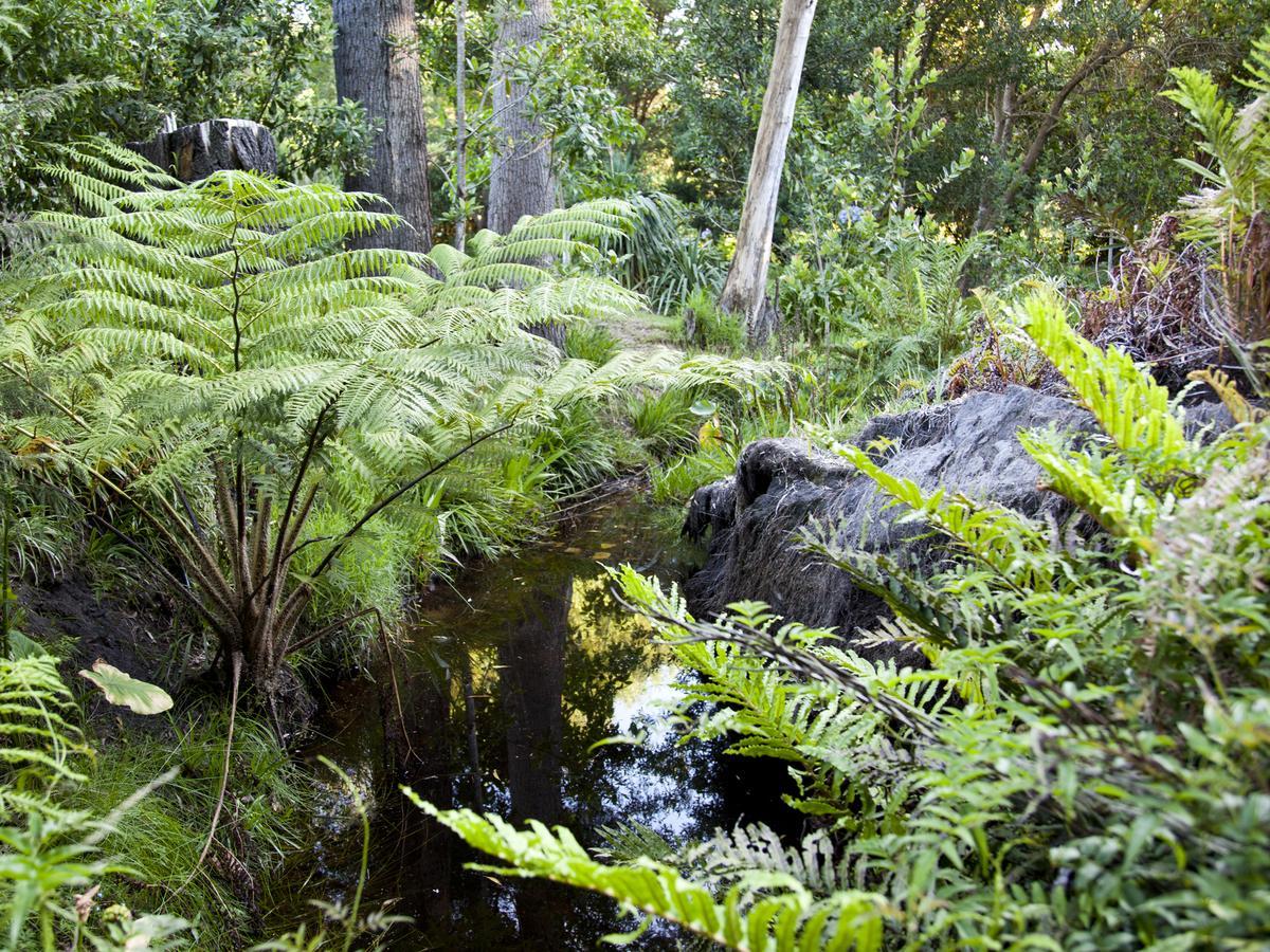 Andelomi Nature'S Rest Stormsrivier Bagian luar foto