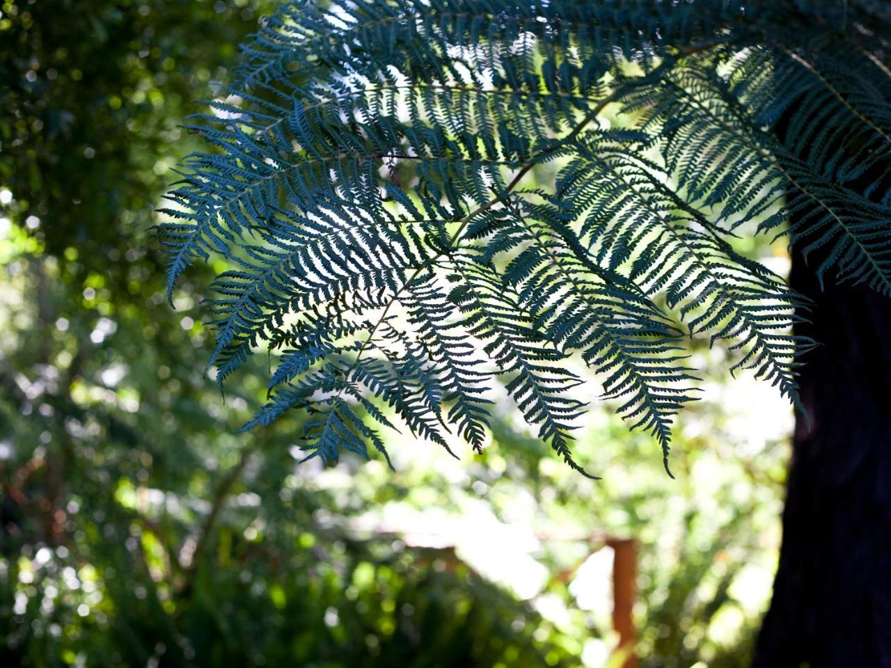 Andelomi Nature'S Rest Stormsrivier Bagian luar foto