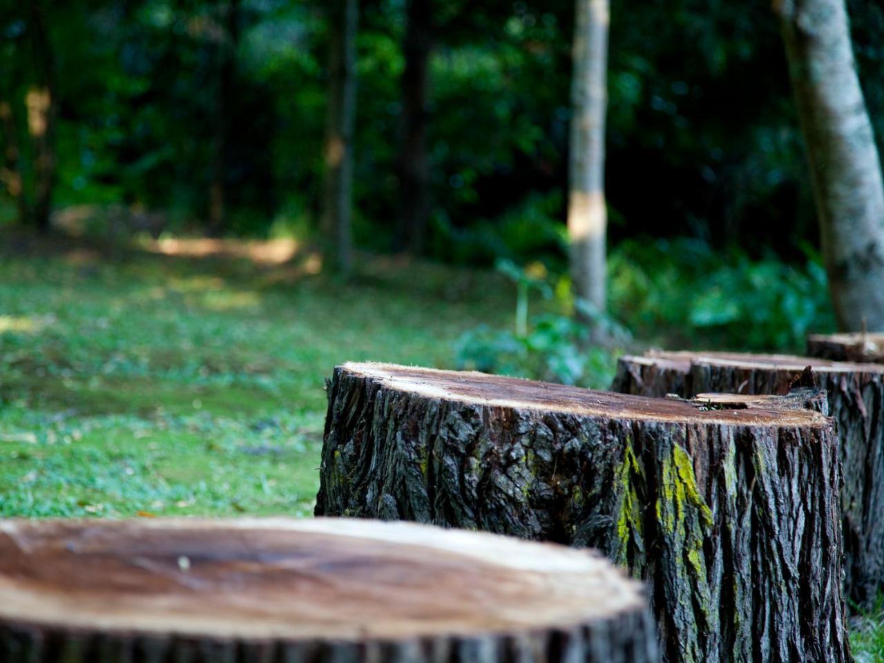 Andelomi Nature'S Rest Stormsrivier Bagian luar foto